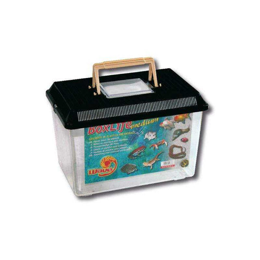 Amtra Vaschetta Boxlife Medium 29,5x19,5x20 cm