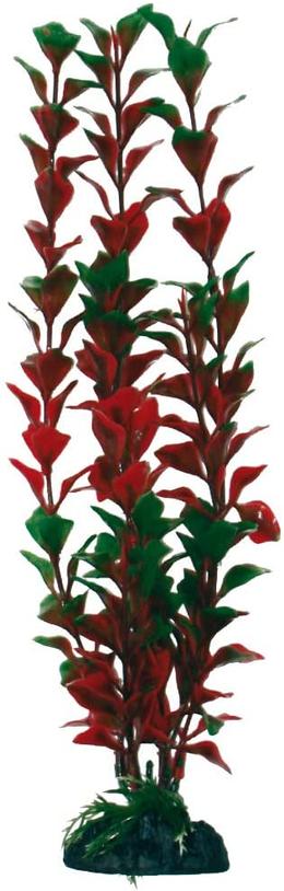 Amtra Pintina Ludwigia XL