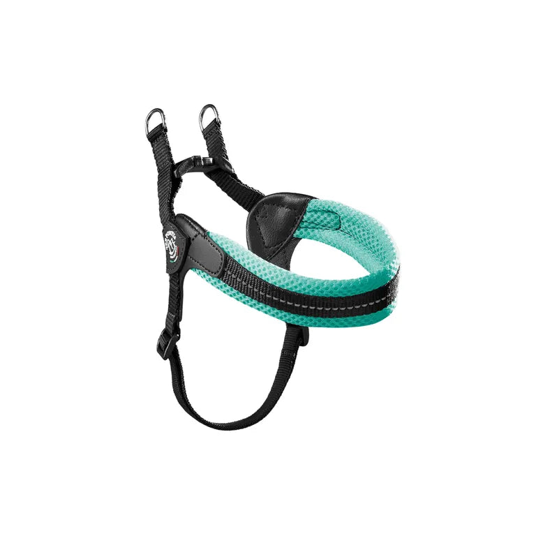 Tre Ponti Pettorina in Rete tg.1,5