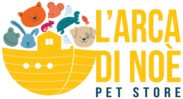 L'Arca Di Noè