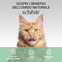 Schesir Bustine Tonnetto con Nasello 70 gr