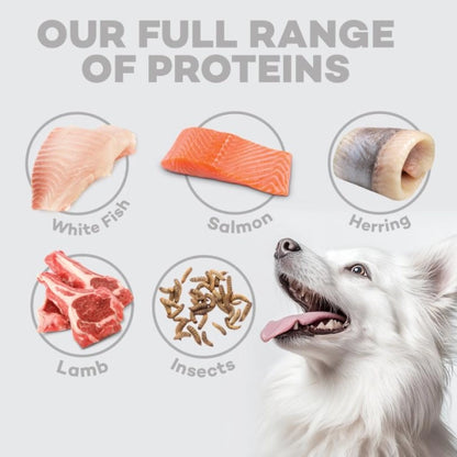 Nature's Protection White Dogs Grain Free Adult Small Agnello 1,5 kg